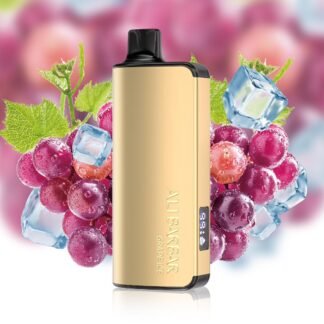 ALIBARBAR INGOT 9000 PUFF - GRAPE ICE