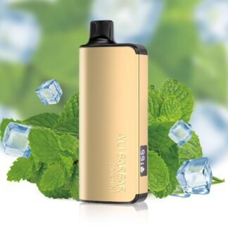 ALIBARBAR INGOT 9000 PUFF - COOL MINT