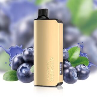 ALIBARBAR INGOT 9000 PUFF - BLUEBERRY BLAST