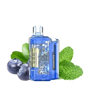 Blueberry Mint – IGET Flare B10000 Puffs