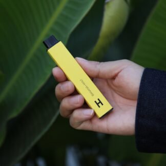 Disposable Vape Pen - Mini
